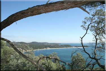 Shola Bay from Tomaree Headland